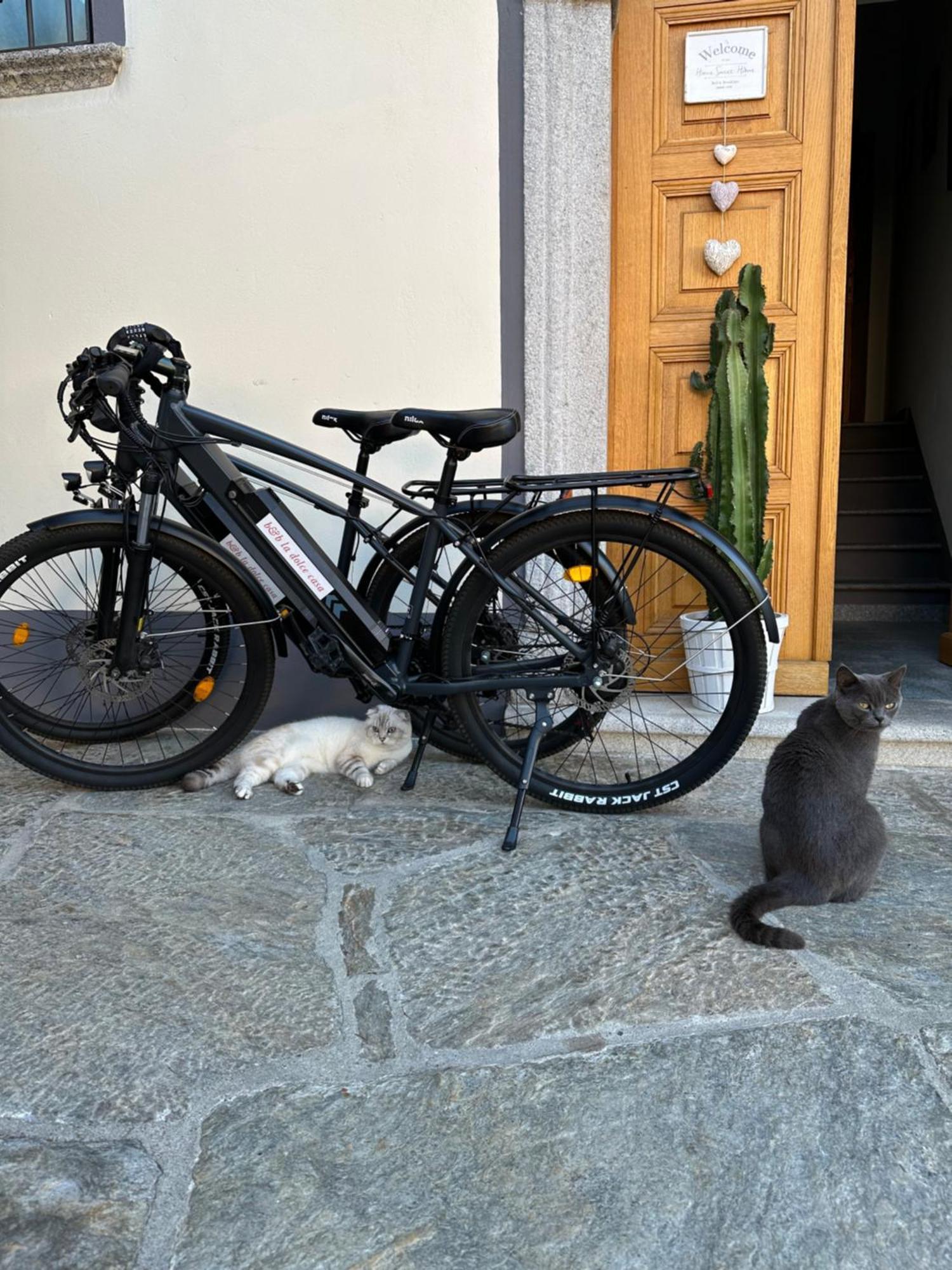 B&B La Dolce Casa Lago Di Como Cremia Buitenkant foto