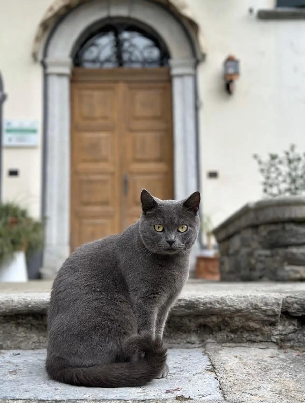 B&B La Dolce Casa Lago Di Como Cremia Buitenkant foto