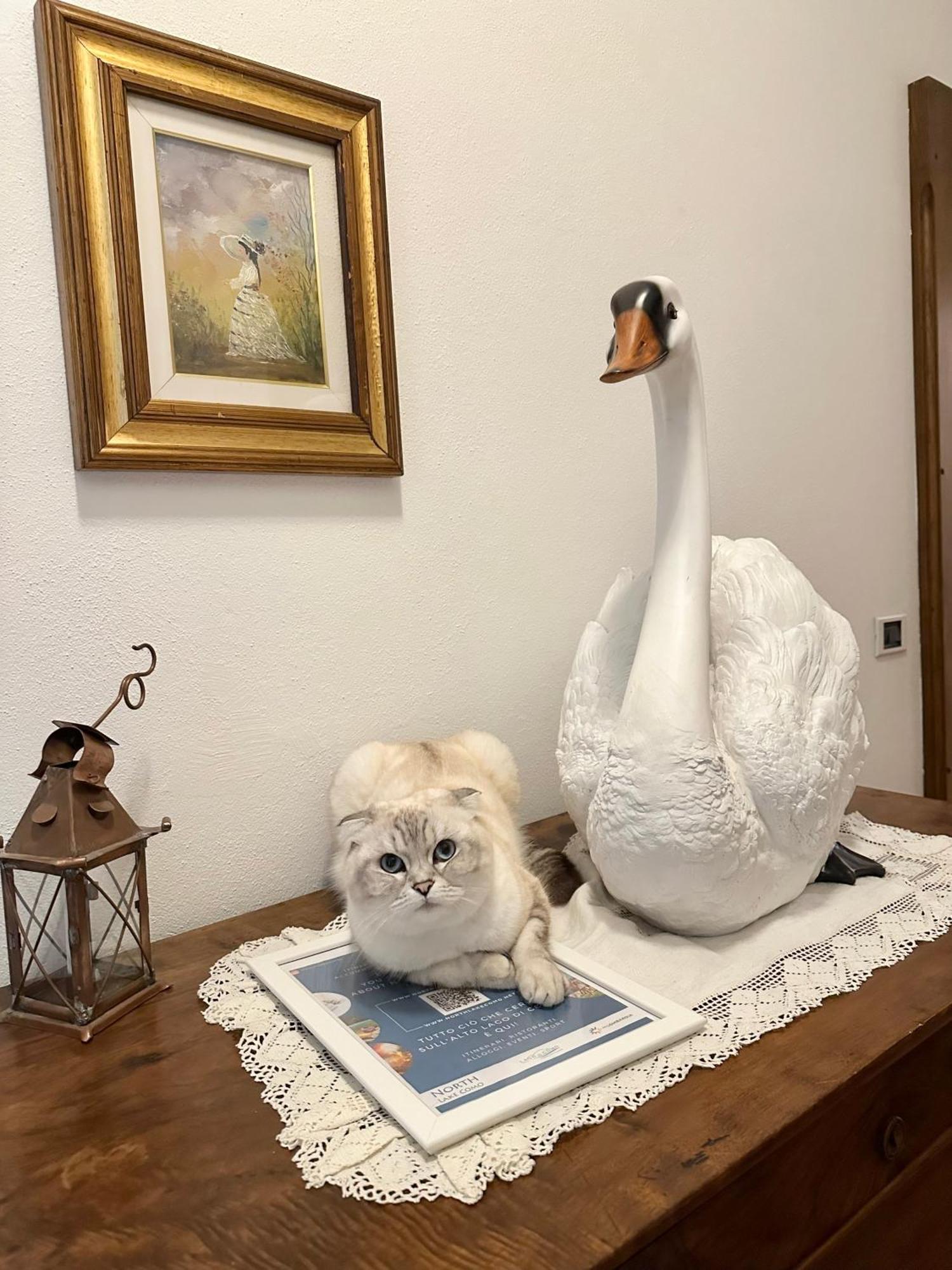 B&B La Dolce Casa Lago Di Como Cremia Buitenkant foto