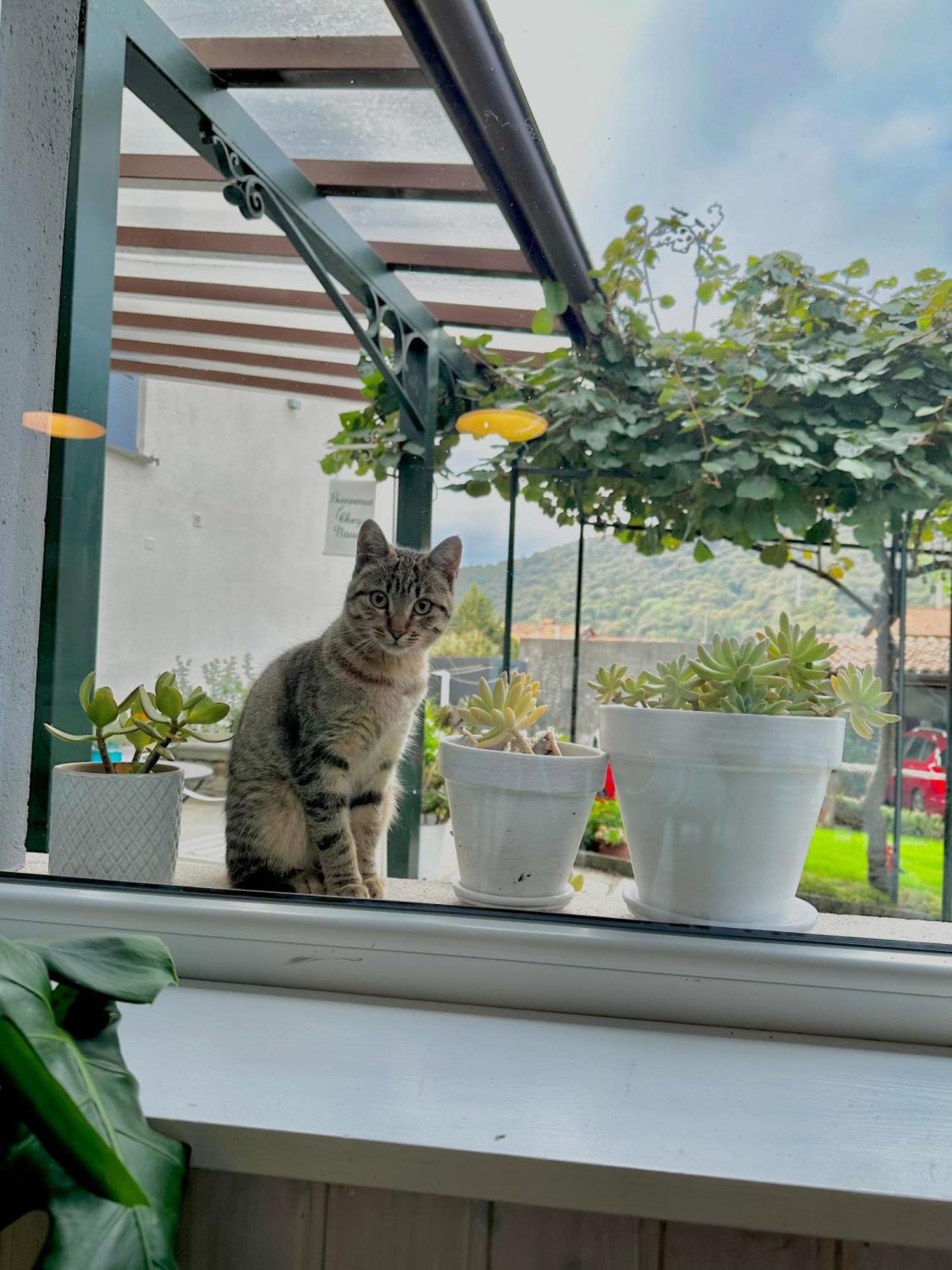 B&B La Dolce Casa Lago Di Como Cremia Buitenkant foto